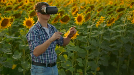 The-boy-is-working-in-VR-glasses.-He-is-engaged-in-the-working-process.-It-is-a-beautiful-sunny-day-in-the-sunflower-field.